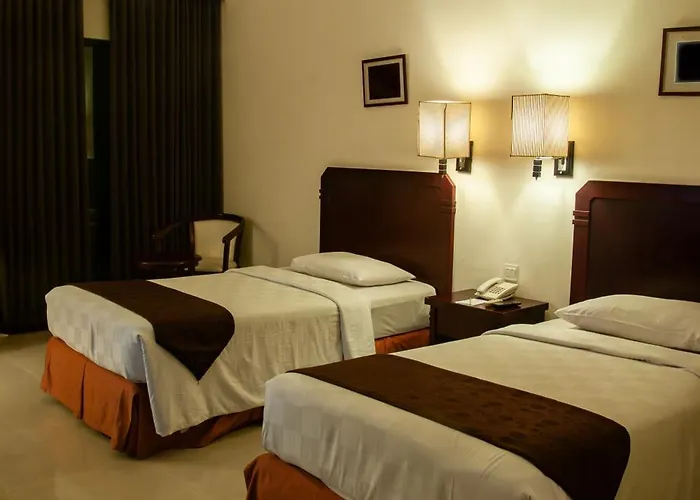 Hotel Z Black Plaza Near Igi Airport Delhi